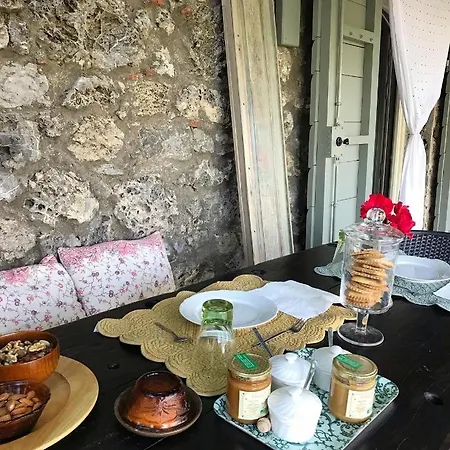 Podere Ceppeti 13 Bed & Breakfast