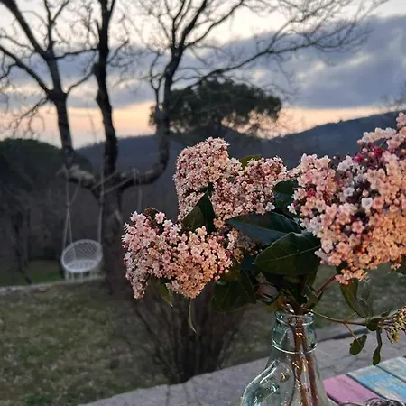 Bed & Breakfast Podere Ceppeti 13 Gabellino