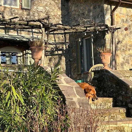 Podere Ceppeti 13 *