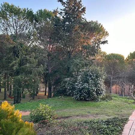 Podere Ceppeti 13 Bed & Breakfast